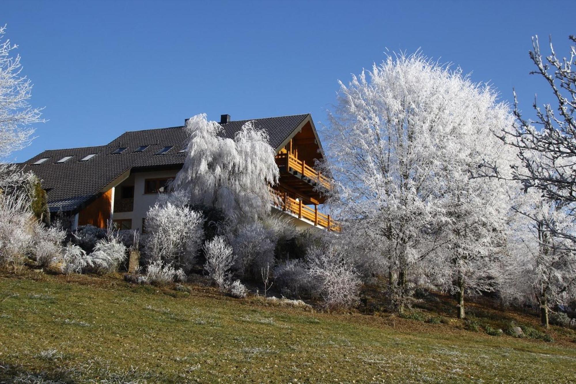 Haus Am See Illmensee Kültér fotó